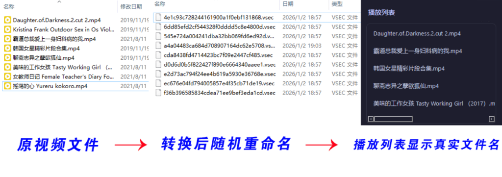 图片[2]初晨源码之家-网站源码-小程序源码-网页源码-游戏源码老司机隐私播放器SecureVault Player V0.8.9初晨源码之家-网站源码-小程序源码-网页源码-游戏源码2026 最新网站源码下载 - WordPress/小程序/商城系统 - 初晨源码之家