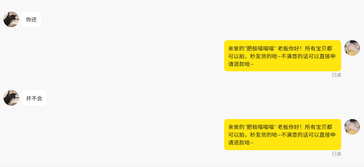 image-20250611004549662